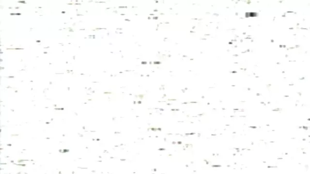 سگها را سگ فیلم سوپر خارجی دانلود می کند