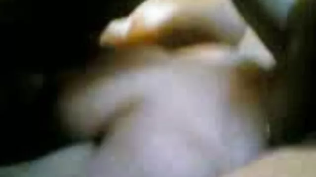 فروشنده نمایش فیلم سوپر خارجی مجارستانی الاغ را لعنتی کرد